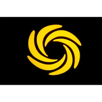 Ibiza Star-Wash Black 30W RGBW Wash Moving Head - DY Pro Audio