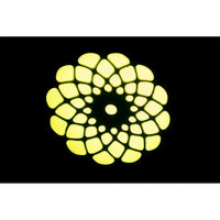 Ibiza Star-Wash Black 30W RGBW Wash Moving Head - DY Pro Audio