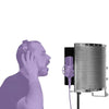 On - Stage Studio Microphone Isolation Shield