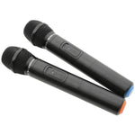 QTX QR12PA Portable PA 12 inch Portable PA System - DY Pro Audio