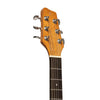 Stagg SA25 D Spruce Acoustic Dreadnought Guitar