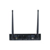W Audio DM800H Twin Handheld UHF Mic System - DY Pro Audio